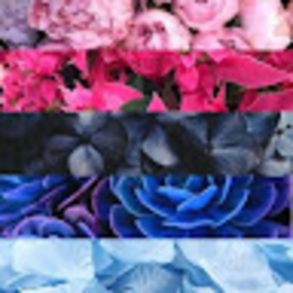 crystalover13